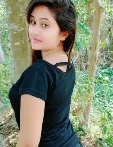 Sridungargarh call girls