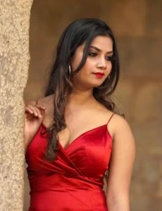 call girl service in Sridungargarh